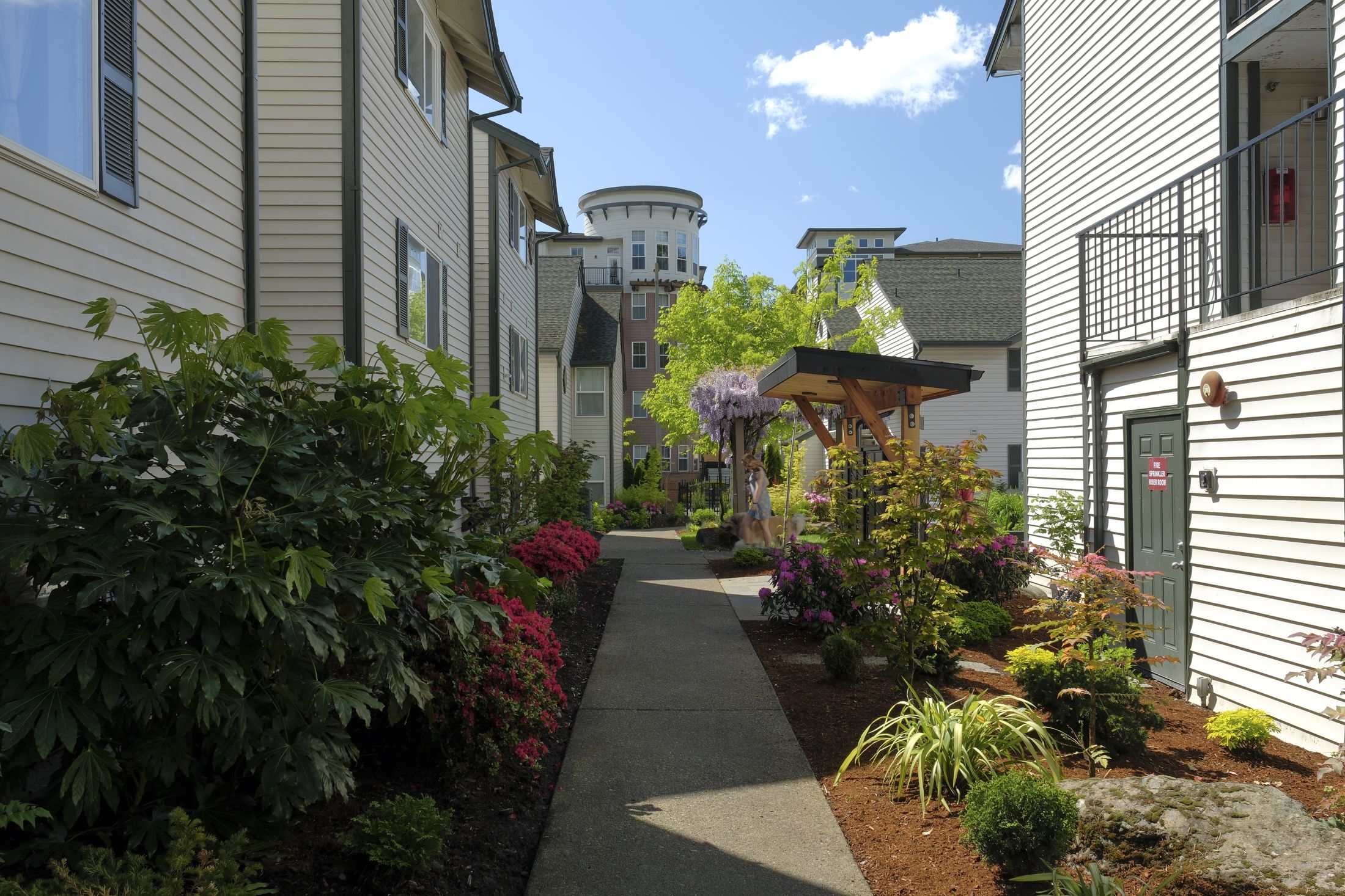 Garden path between Samara buildings